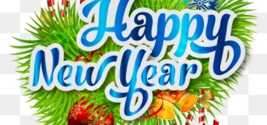 happy-new-year-christmas-tree-with-elements-decoration-png_224887